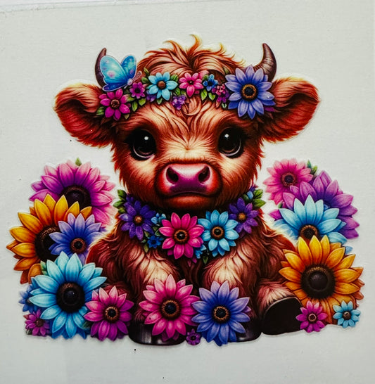 Pink, Blue, Purple Highland Cow