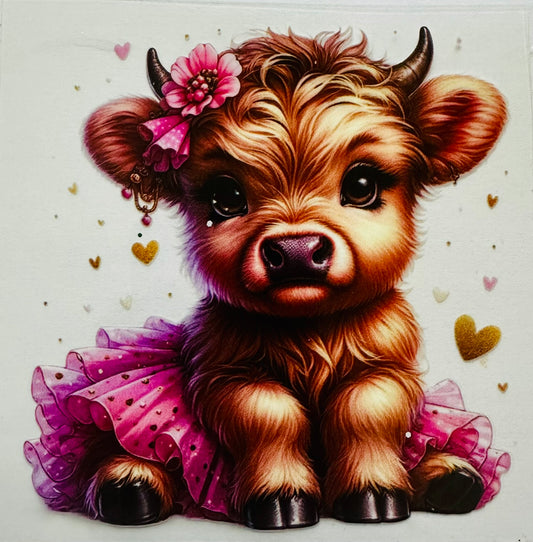 Pink Highland Cow