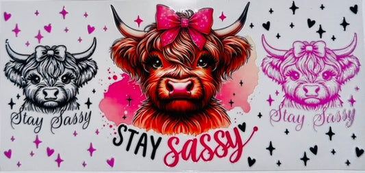 Stay Sassy