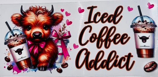 Iced Coffee Addict