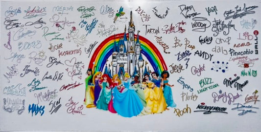 Disney Castle